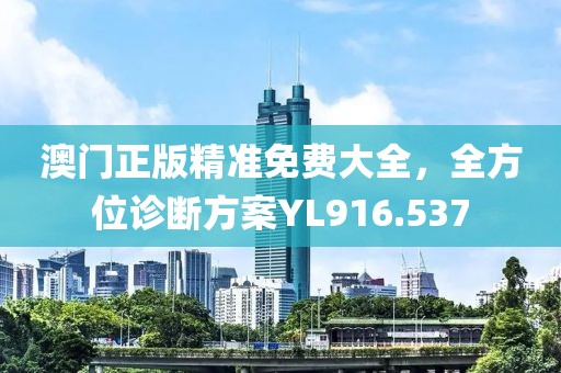 澳门正版精准免费大全，全方位诊断方案YL916.537