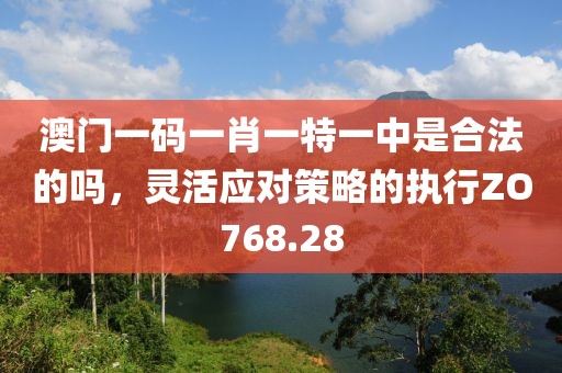澳门一码一肖一特一中是合法的吗，灵活应对策略的执行ZO768.28