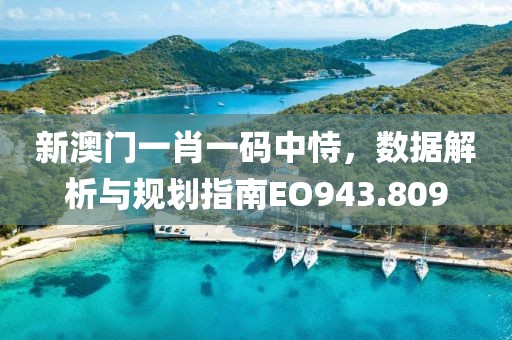 新澳门一肖一码中恃，数据解析与规划指南EO943.809