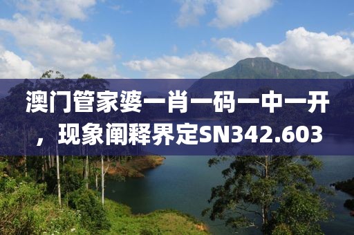 澳门管家婆一肖一码一中一开，现象阐释界定SN342.603