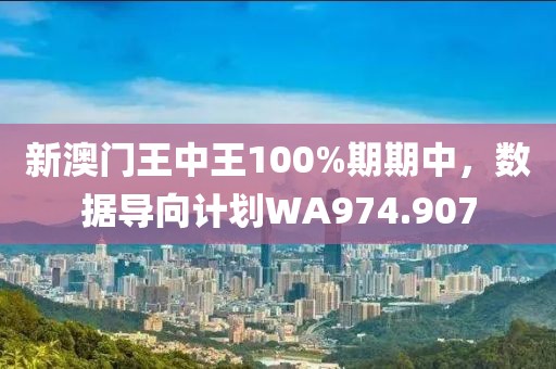新澳门王中王100%期期中，数据导向计划WA974.907