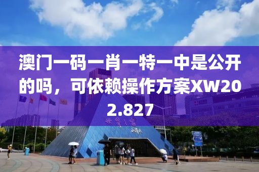 澳门一码一肖一特一中是公开的吗，可依赖操作方案XW202.827