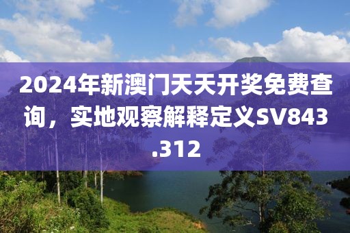 2024年新澳门天天开奖免费查询，实地观察解释定义SV843.312