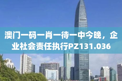 澳门一码一肖一待一中今晚，企业社会责任执行PZ131.036