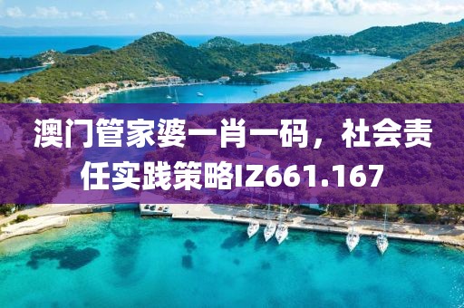 澳门管家婆一肖一码，社会责任实践策略IZ661.167