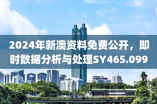 2024年新澳资料免费公开，即时数据分析与处理SY465.099