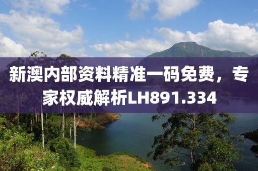 新澳内部资料精准一码免费，专家权威解析LH891.334