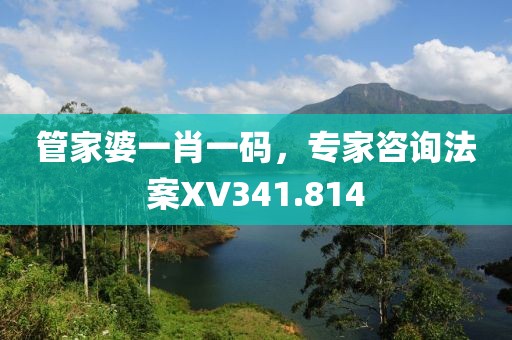 管家婆一肖一码，专家咨询法案XV341.814