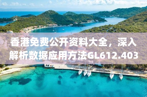香港免费公开资料大全，深入解析数据应用方法GL612.403