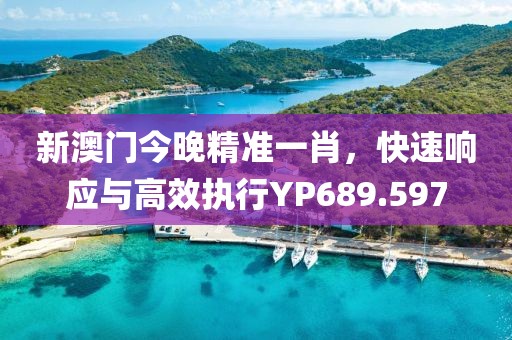 新澳门今晚精准一肖，快速响应与高效执行YP689.597