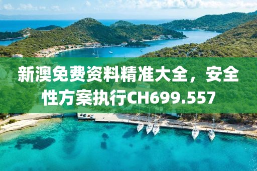 新澳免费资料精准大全，安全性方案执行CH699.557