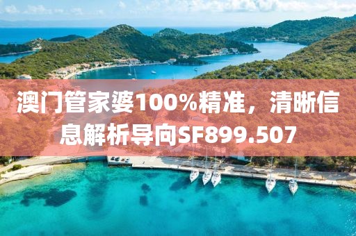 澳门管家婆100%精准，清晰信息解析导向SF899.507