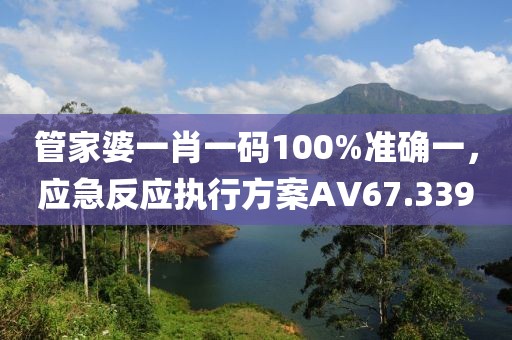 管家婆一肖一码100%准确一，应急反应执行方案AV67.339