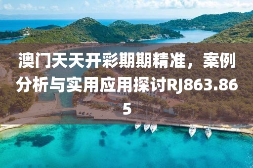 澳门天天开彩期期精准，案例分析与实用应用探讨RJ863.865