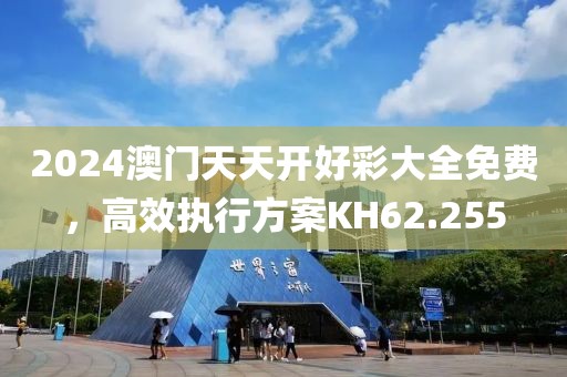 2024澳门天天开好彩大全免费，高效执行方案KH62.255