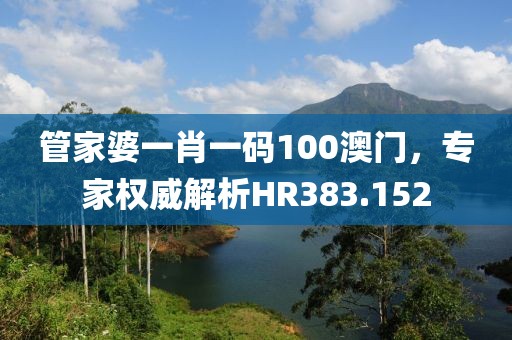 管家婆一肖一码100澳门，专家权威解析HR383.152