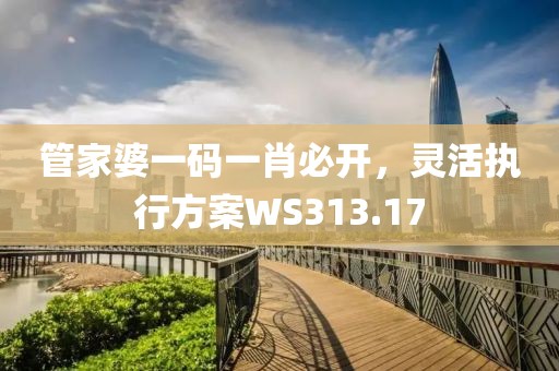 管家婆一码一肖必开，灵活执行方案WS313.17