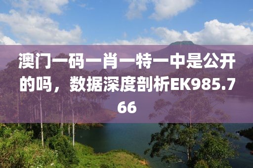 澳门一码一肖一特一中是公开的吗，数据深度剖析EK985.766