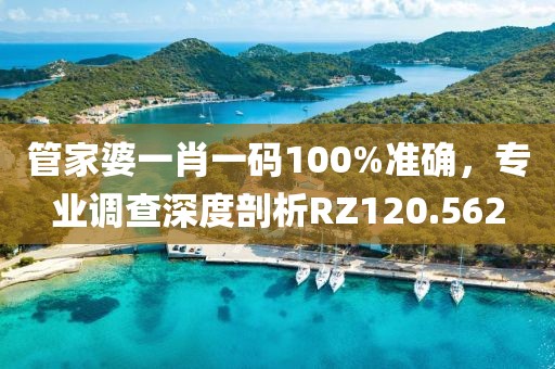 管家婆一肖一码100%准确，专业调查深度剖析RZ120.562