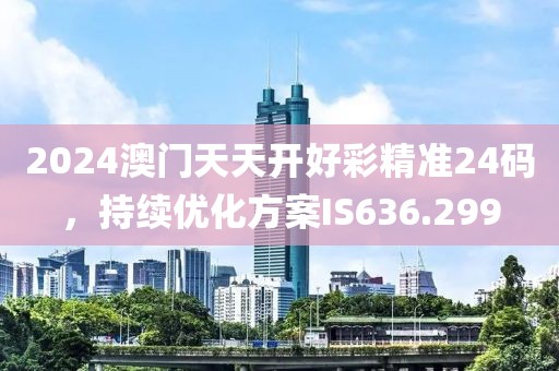 2024澳门天天开好彩精准24码，持续优化方案IS636.299