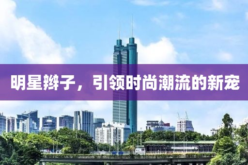明星辫子，引领时尚潮流的新宠