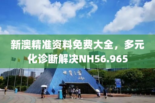 新澳精准资料免费大全，多元化诊断解决NH56.965