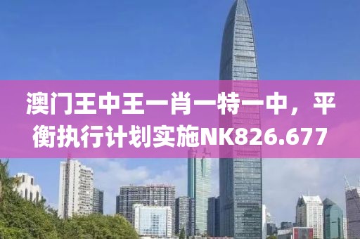 澳门王中王一肖一特一中，平衡执行计划实施NK826.677