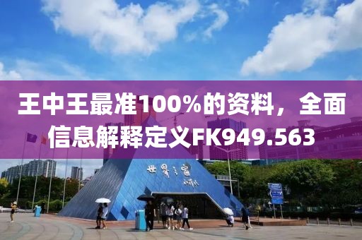 王中王最准100%的资料，全面信息解释定义FK949.563