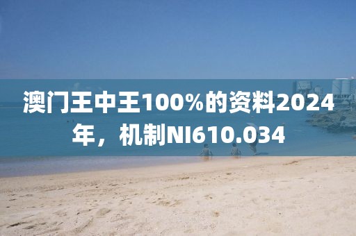 澳门王中王100%的资料2024年，机制NI610.034