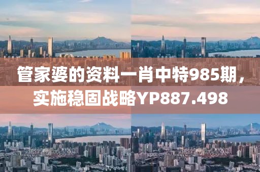 管家婆的资料一肖中特985期，实施稳固战略YP887.498