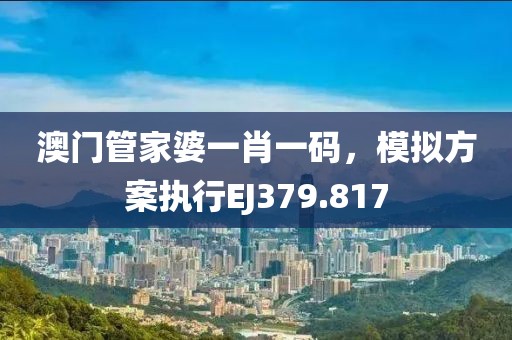 澳门管家婆一肖一码，模拟方案执行EJ379.817