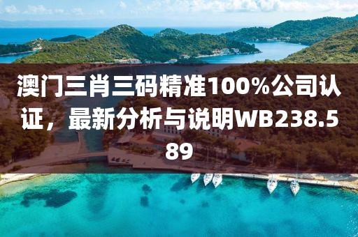澳门三肖三码精准100%公司认证，最新分析与说明WB238.589