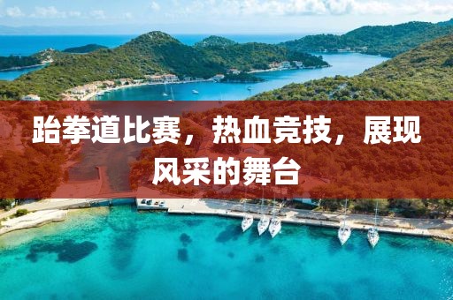 跆拳道比赛，热血竞技，展现风采的舞台