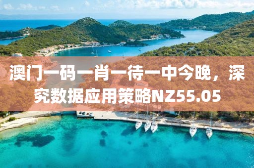 澳门一码一肖一待一中今晚，深究数据应用策略NZ55.05
