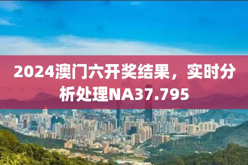 2024澳门六开奖结果，实时分析处理NA37.795
