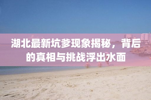 湖北最新坑爹现象揭秘，背后的真相与挑战浮出水面