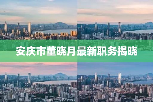 安庆市董晓月最新职务揭晓