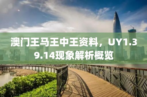 澳门王马王中王资料，UY1.39.14现象解析概览