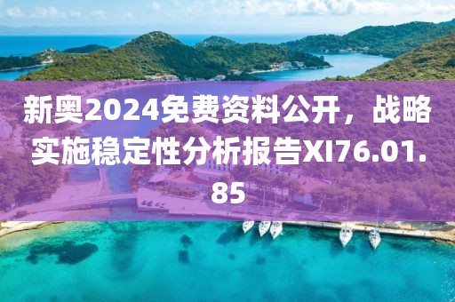 新奥2024免费资料公开，战略实施稳定性分析报告XI76.01.85
