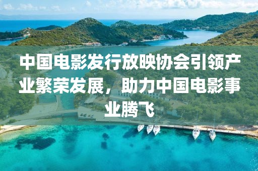 中国电影发行放映协会引领产业繁荣发展，助力中国电影事业腾飞