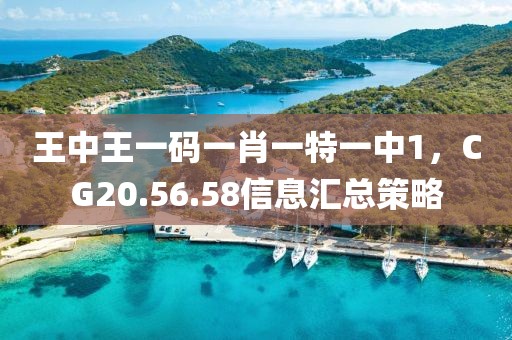 王中王一码一肖一特一中1，CG20.56.58信息汇总策略