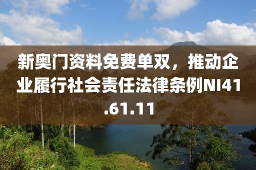新奥门资料免费单双，推动企业履行社会责任法律条例NI41.61.11