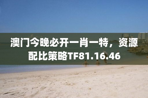 澳门今晚必开一肖一特，资源配比策略TF81.16.46