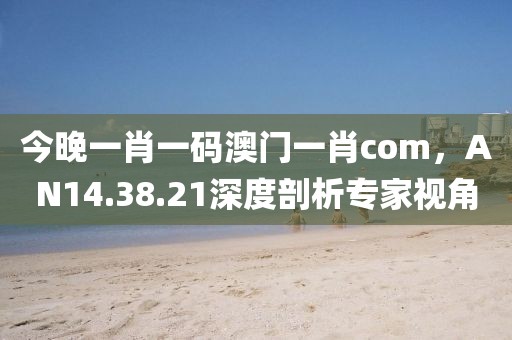 今晚一肖一码澳门一肖com，AN14.38.21深度剖析专家视角