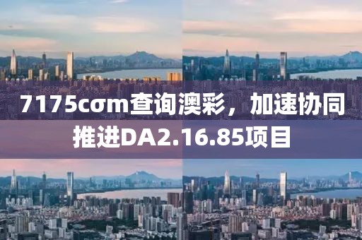 7175cσm查询澳彩，加速协同推进DA2.16.85项目
