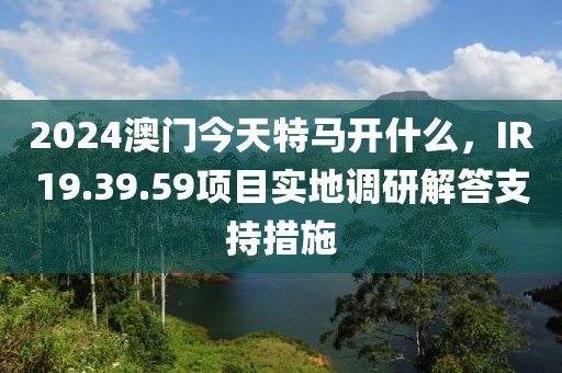 2024澳门今天特马开什么，IR19.39.59项目实地调研解答支持措施