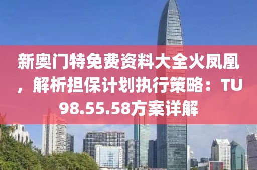 新奥门特免费资料大全火凤凰，解析担保计划执行策略：TU98.55.58方案详解