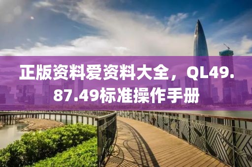 正版资料爱资料大全，QL49.87.49标准操作手册