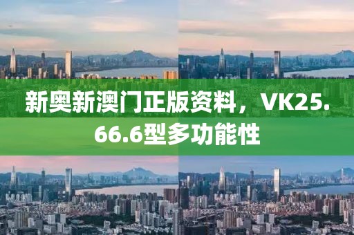 新奥新澳门正版资料，VK25.66.6型多功能性