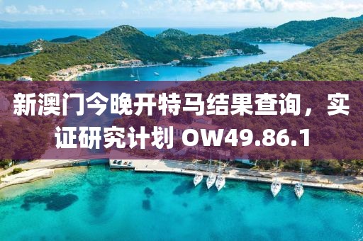 新澳门今晚开特马结果查询，实证研究计划 OW49.86.1